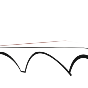 20.11.2025 - Туберкулозата денес : Наука,превенција,иднина